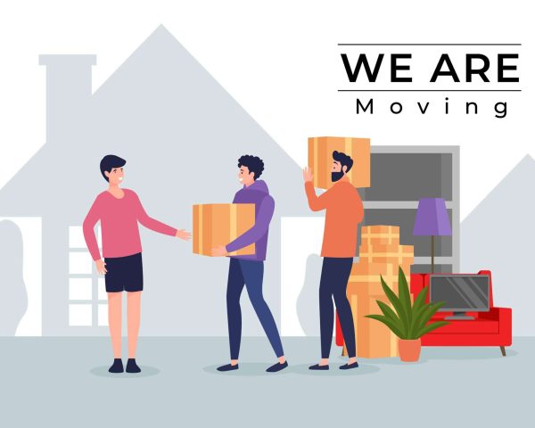 dtdc moving service
